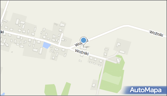 OSP w Woźniakach, Woźniki 33, Woźniki 09-451 - Przedsiębiorstwo, Firma, numer telefonu, NIP: 7741000971