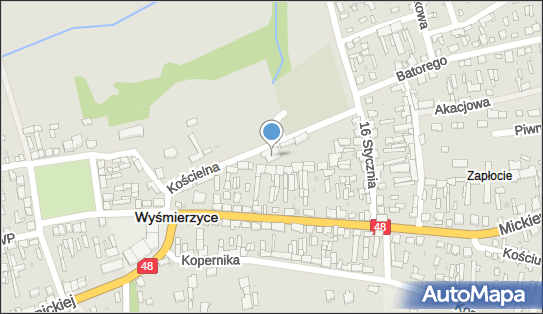 7981421502, OSP w Wyśmierzycach 