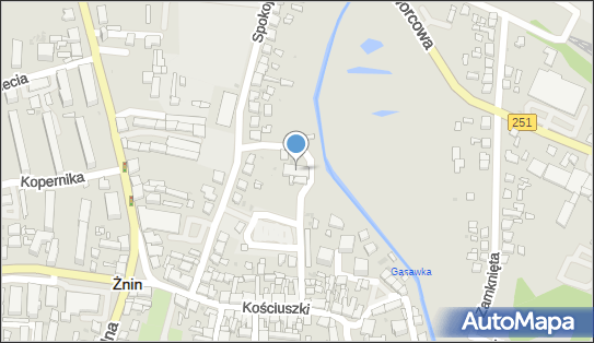 5621620919, OSP w Żninie 