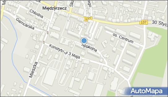 Ośrodek Szkolenia Kierowców, os. Centrum 12D, Międzyrzecz 66-300 - Przedsiębiorstwo, Firma, NIP: 5961343382