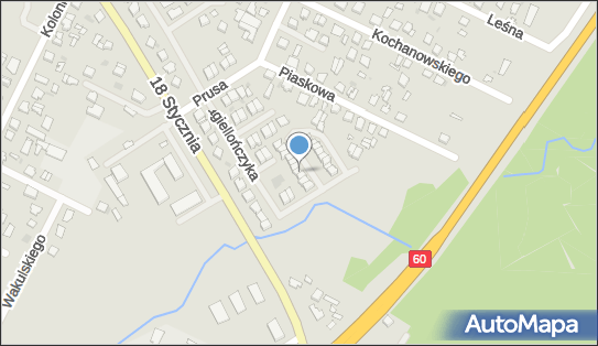 Osrowski Dariusz Dar - Poż Usługi Pożarnicze, Gostynin 09-500 - Przedsiębiorstwo, Firma, NIP: 9710243082