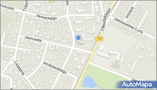 Owoce Warzywa Art Spożywcze, Księcia Ziemowita 19, Sochaczew 96-500 - Przedsiębiorstwo, Firma, NIP: 8371232884