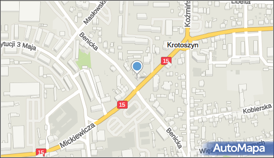 P.H.U Alex Aleksander Pluta, ul. Mickiewicza 37, Krotoszyn 63-700 - Przedsiębiorstwo, Firma