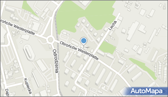 P H U Budex, Obrońców Westerplatte 18, Ruda Śląska 41-710 - Przedsiębiorstwo, Firma, NIP: 6411064708