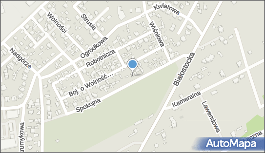 P.H.U.Chmiel Chmielewski Piotr, Spokojna 18, Wyszków 07-200 - Przedsiębiorstwo, Firma, NIP: 7621456177