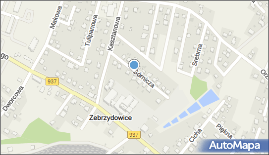 P H U Izis, Górnicza 6, Zebrzydowice 43-410 - Przedsiębiorstwo, Firma, NIP: 6331634061