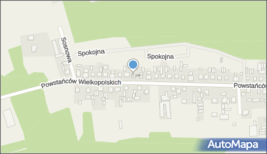 P.H.U.Masterpal Jerzy Filipek, ul. Powstańców Wielkopolskich 48 64-234 - Przedsiębiorstwo, Firma, NIP: 6981314160