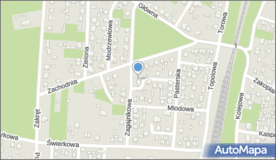 P H U Pralnia Dywanów, Zagajnikowa 6, Głowno 95-015 - Przedsiębiorstwo, Firma, NIP: 7331062636