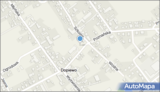 P.H.U.Samolczyk Artur Samolczyk, ul. Poznańska 13, Dopiewo 62-070 - Przedsiębiorstwo, Firma, NIP: 7772382324