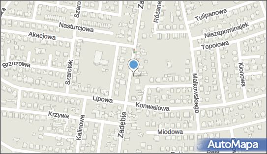 P.H.U.Taja Małgorzata Suska, Zadębie 31, Skierniewice 96-100 - Przedsiębiorstwo, Firma, NIP: 8361820266