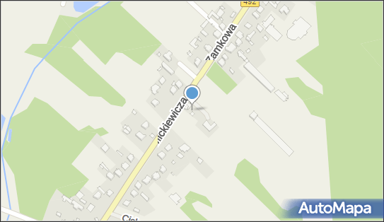 5741546864, Elżbieta Biernacka Przychodnia Weterynaryjna Centrum Zdrowia Zwierząt 