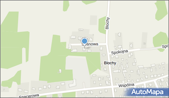 P.H.U.Zaręba Kamila Zaręba, ul. Spokojna 2, Blochy 07-210 - Przedsiębiorstwo, Firma, NIP: 7621916673