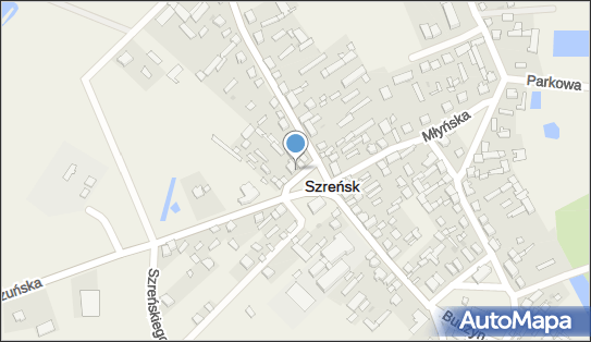 P H U, ul. Bieżuńska BN, Szreńsk 06-550 - Przedsiębiorstwo, Firma, NIP: 5691004321