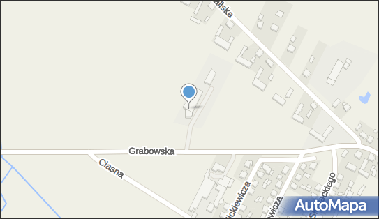 P.P.H.U.Borex Export - Import Ryszard Fiłka, Grabowska 8 63-522 - Przedsiębiorstwo, Firma, NIP: 6221498131