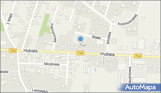 7311388843, P.P.H.U.Dea Anna Depcik 