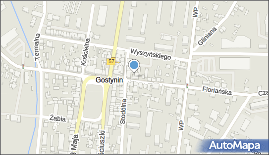 P P H U Grażyna Grażyna Olkiewicz, ul. Floriańska 5, Gostynin 09-500 - Przedsiębiorstwo, Firma, numer telefonu, NIP: 9710096646