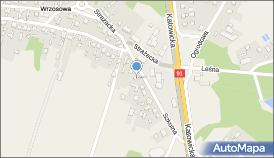 P.P.H.U.Hydroterm Wachowski Dariusz, Wachowski Dawid, Szkolna 10a 42-263 - Przedsiębiorstwo, Firma, NIP: 5732441806