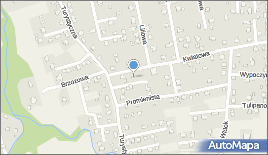 6462405906, P.P.H.U.Max Izabela Wójcik 