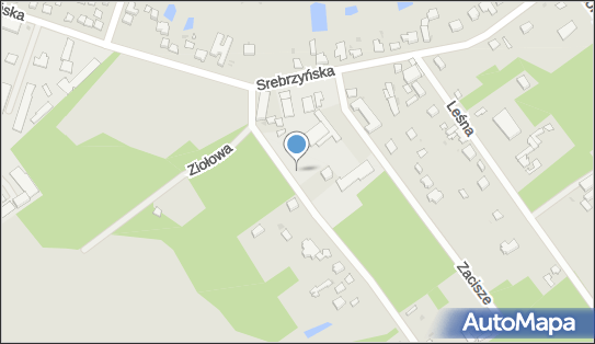P.P.H.U.Solidius Florian Ludwisiak, Zagajnikowa 6 95-050 - Przedsiębiorstwo, Firma, NIP: 7271007058