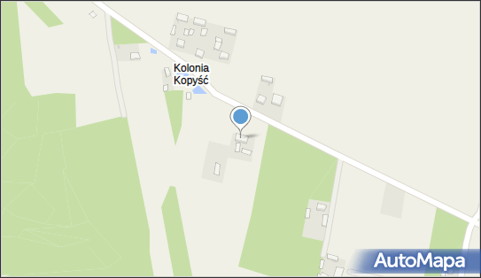 P.P.H.U.Trans Ola Maria Wójtowicz, Kopyść 59, Kopyść 98-100 - Przedsiębiorstwo, Firma, NIP: 8311235241