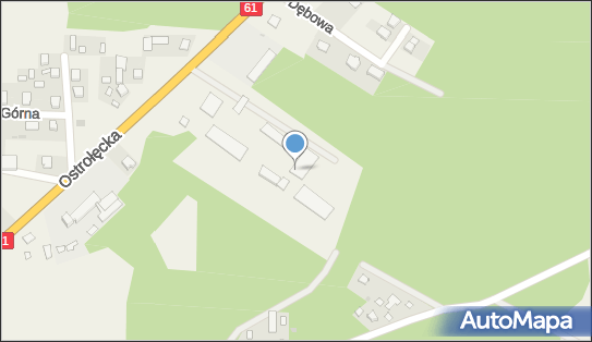 P P H U Trans Wood, Ostrołęcka 30, Młynarze 06-231 - Przedsiębiorstwo, Firma