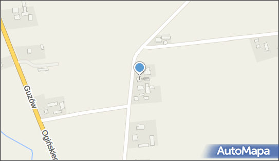P P H U, Guzów 24A, Guzów 96-317 - Przedsiębiorstwo, Firma, NIP: 8380003746