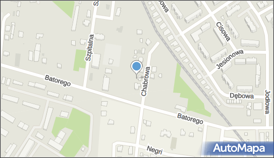 P T D M z, Chabrowa 3, Łask 98-100 - Przedsiębiorstwo, Firma, NIP: 8311633705