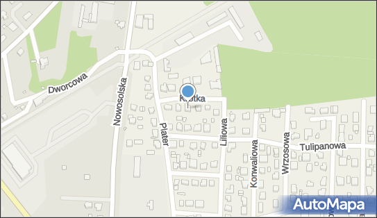 P T H U Medpol, Krótka 6, Modrzyca 67-106 - Przedsiębiorstwo, Firma, NIP: 9251827457