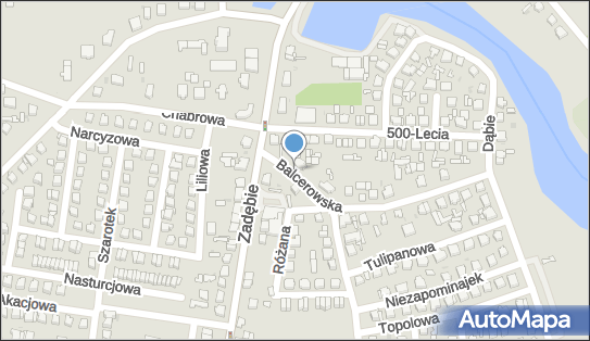 P U H Inspol, Balcerowska 1, Skierniewice 96-100 - Przedsiębiorstwo, Firma, numer telefonu, NIP: 8361004466