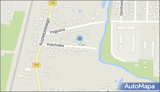 P.U.H.Skiergeo Marek Klugiewicz, ul. Adama Próchnika 13 96-100 - Przedsiębiorstwo, Firma, NIP: 8781164426