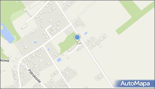 P.U.H., Wodnik Marian Janas, Pstrokonie 60, Pstrokonie 98-161 - Przedsiębiorstwo, Firma, NIP: 8291315533