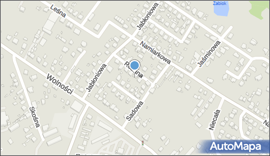 6252084502, P.w.