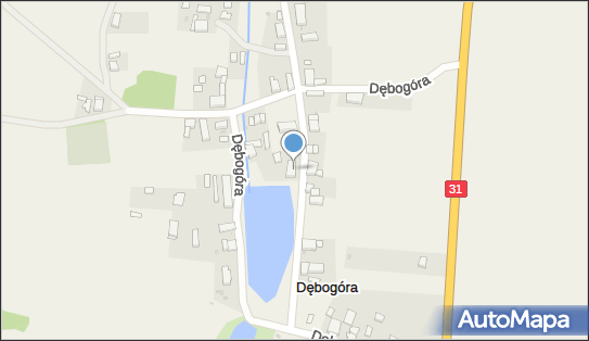 P.w.Kamea Trawińska Mariola, Dębogóra 19, Dębogóra 74-120 - Przedsiębiorstwo, Firma, NIP: 8581048112