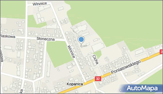 P.w.Robart Robert Hałuszczak, Winnice 14, Kopanica 64-225 - Przedsiębiorstwo, Firma, NIP: 9231285881