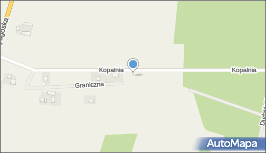 P.w.Salvus Halina Danielak, ul. Kopalnia 8, Gościeradz 86-011 - Przedsiębiorstwo, Firma, NIP: 9670052191