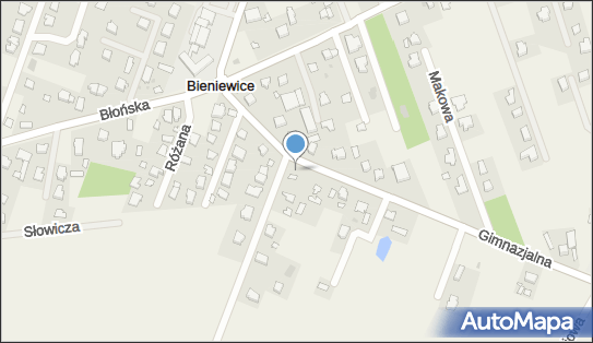 5291329597, Pachała Jadwiga-PIELĘGNIARKA Dyplomowana 