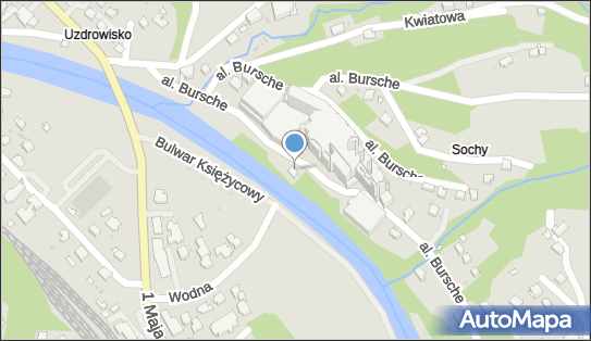 5482243257, Pacześ Tadeusz Firma Handlowo-Usługowa 