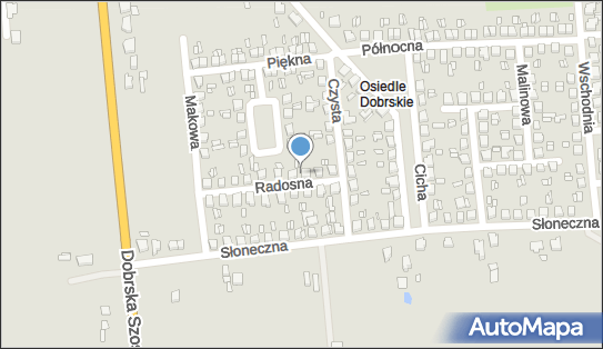 Pacześny Piotr, Radosna 15, Turek 62-700 - Przedsiębiorstwo, Firma, NIP: 6681685372