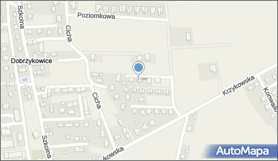Pag Instal Paweł Dziduszko, ul. Wierzbowa 7, Dobrzykowice 55-002 - Przedsiębiorstwo, Firma, NIP: 8961128248