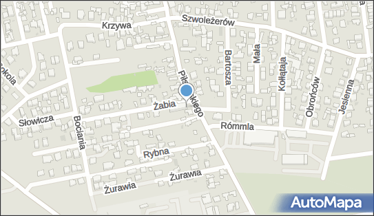 Pan Tadeusz Tadeusz Piwowar, ul. Józefa Piłsudskiego 116, Ząbki 05-091 - Przedsiębiorstwo, Firma, numer telefonu, NIP: 1251503733