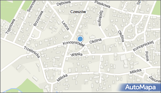 9151730267, Panaceum Katarzyna Wypych 