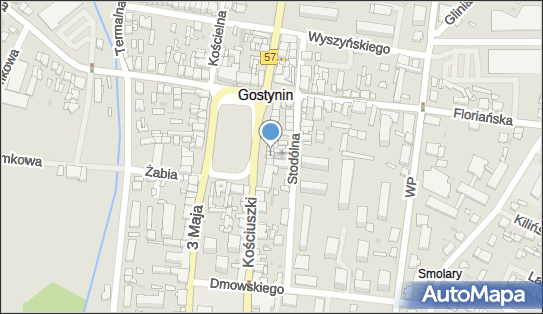 Panaceum Marek Kurkowski, ul. Rynek 6, Gostynin 09-500 - Przedsiębiorstwo, Firma, NIP: 5260027501