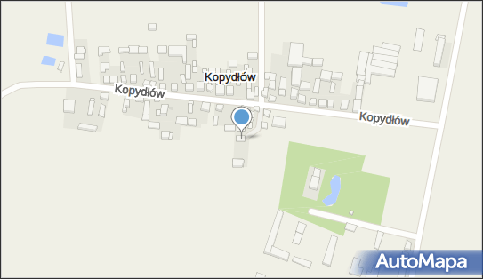 Panek- Trans, Kopydłów 42, Kopydłów 98-350 - Przedsiębiorstwo, Firma, NIP: 8322054750