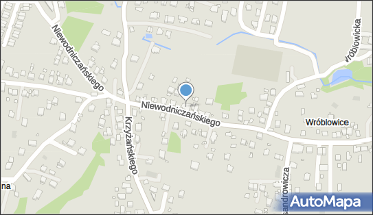 Pantoflastwo i Trepiarstwo, ul. Henryka Niewodniczańskiego 53 30-698 - Przedsiębiorstwo, Firma, NIP: 6791528509
