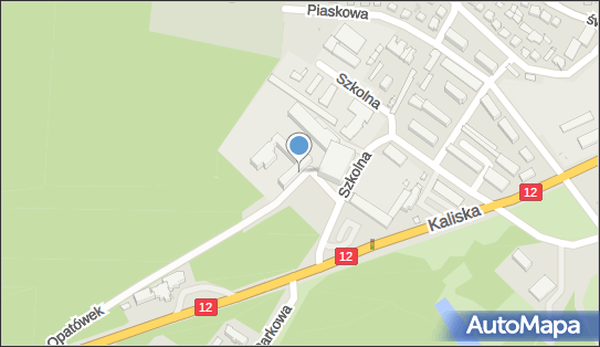Papoli Tomasz Oliwiecki, Szkolna 3, Opatówek 62-860 - Przedsiębiorstwo, Firma, NIP: 6181828673