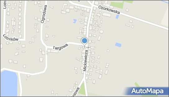 Par Net, ul. Adama Mickiewicza 21A, Parzęczew 95-045 - Przedsiębiorstwo, Firma, numer telefonu, NIP: 7322068527