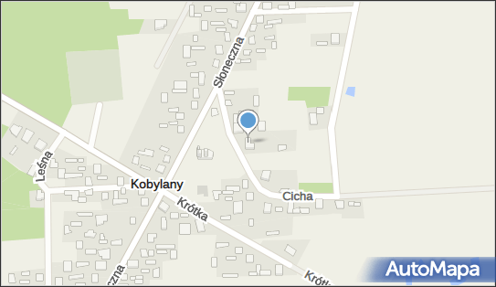 Parafia Prawosławna P/w Opieki Matki Bożej w Kobylanach, Kobylany 21-540 - Przedsiębiorstwo, Firma, numer telefonu, NIP: 5372398579