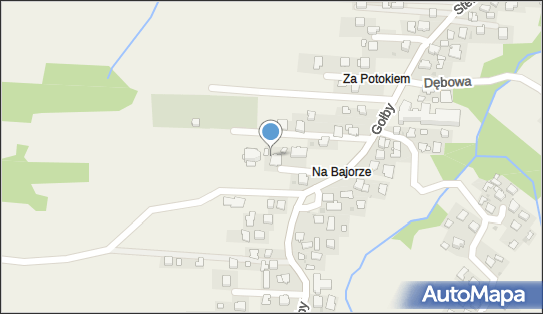 Parafia Rzym.-Kat.pw.Najświętszego Serca Pana Jezusa, Bachowice 34-116 - Przedsiębiorstwo, Firma, numer telefonu, NIP: 5512328746