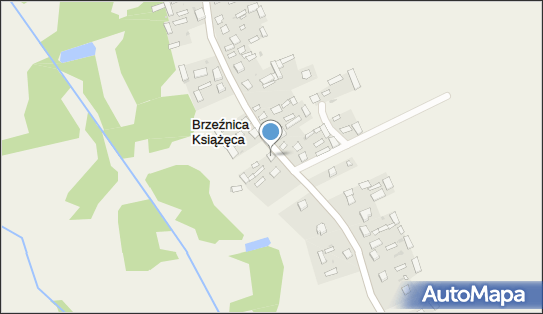 Parafia Rzym.-Kat.pw.Świętego Mikołaja, Brzeźnica Książęca 69 21-104 - Przedsiębiorstwo, Firma, numer telefonu, NIP: 7141597104