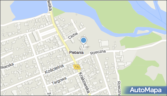 Parafia Rzymsko-Katolicka P.w.Świętej Trójcy, ul. Krakowska 25 26-800 - Przedsiębiorstwo, Firma, NIP: 7981143374